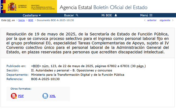 Convocadas 295 plazas de empleo público para personas con discapacidad intelectual